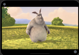 Sample app in full-screen playback with controls hidden